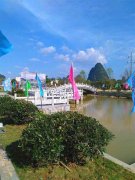 会仙镇市民广场园林绿化工程